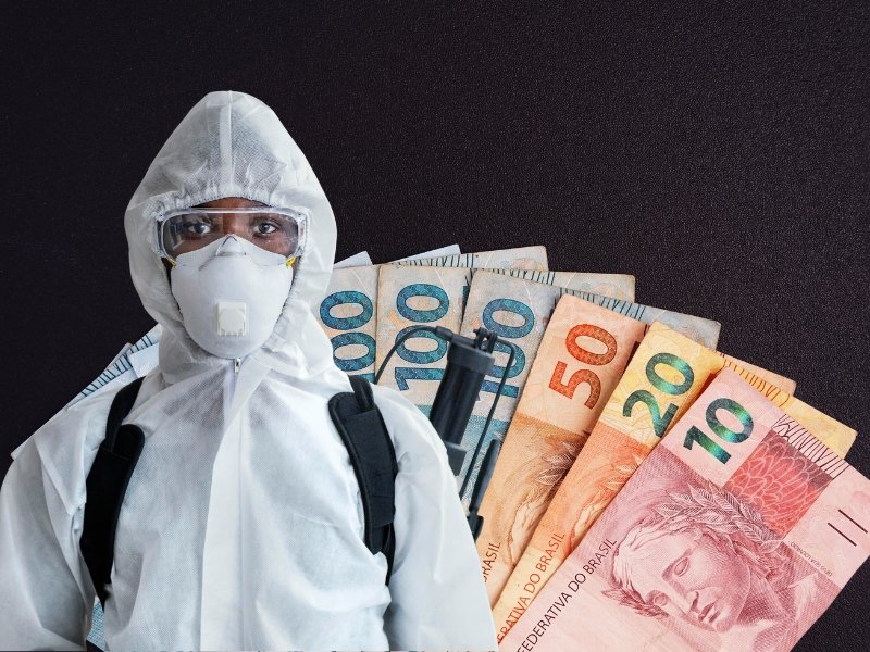 Que o Fluxo de Caixa é a Espinha Dorsal de uma Dedetizadora